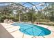 Large screened-in pool with spa, surrounded by mature trees and privacy at 13139 Preserve Ct, Port Charlotte, FL 33953