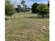Large grassy lot surrounded by a chain link fence with trees and a house in the background at 1708 Blue Lake Cir, Punta Gorda, FL 33983
