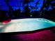 Sparkling in-ground pool at night with playful pink flamingo float, surrounded by palm trees and ambient lighting at 330 Weber Ter, Port Charlotte, FL 33952