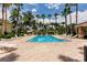 A pristine community pool with plenty of seating on a brick pool deck surrounded by palm trees and landscaping at 8098 Moonstone Dr # 17-203, Sarasota, FL 34233