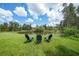 Inviting backyard seating area overlooking a tranquil pond under a sunny sky with fluffy clouds at 8312 Acorn Blvd, Punta Gorda, FL 33982