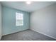 A bright bedroom with a large window and modern gray carpet with light blue accent wall at 17032 Yellow Pine St, Wimauma, FL 33598