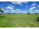 Lush green backyard with beautiful blue skies at 1915 Pebble Beach Ct, Venice, FL 34293