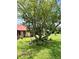 Backyard showcasing a large tree surrounded by flowering plants and greenery at 214 Castile Ct, Punta Gorda, FL 33983