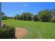 Expansive backyard showcasing lush green grass, tropical landscaping, and peaceful surroundings at 260 Rotonda E Blvd, Rotonda West, FL 33947