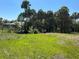 Spacious backyard partially fenced, with lush green grass and a view of the home at 6594 Buckboard St, North Port, FL 34291