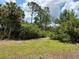 Scenic property showcasing green grass surrounded by large mature trees at 6594 Buckboard St, North Port, FL 34291
