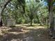 Picturesque property featuring mature trees and a storage shed at 6594 Buckboard St, North Port, FL 34291