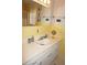 Bathroom vanity with a unique vessel sink, decorative seahorse, and ' & ' accessories at 724 Hartford Nw Dr, Port Charlotte, FL 33952