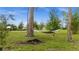 A serene backyard with a comfortable hammock strung between trees, creating a relaxing outdoor space on the grass at 12581 Eisenhower Dr, Port Charlotte, FL 33953
