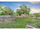 Spacious backyard showcasing green grass and fruit trees, ideal for gardening and enjoying outdoor activities at 180 Palmetto Ne Cir, Port Charlotte, FL 33952
