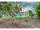 This backyard has multiple fruit trees and a small lawn area at 180 Palmetto Ne Cir, Port Charlotte, FL 33952