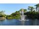Picturesque pond with a fountain surrounded by lush greenery, creating a tranquil and inviting outdoor space at 421 Marsh Creek Rd, Venice, FL 34292