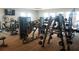 A well-equipped gym with free weights, machines, and multiple windows for natural light at 13935 Campoleone St, Venice, FL 34293