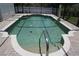 In-ground pool with step entry surrounded by brick pavers at 15037 Mcgraw Ave, Port Charlotte, FL 33953