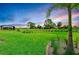 Expansive backyard featuring verdant lawn and tropical landscaping at 16336 Preservation Blvd, Punta Gorda, FL 33982