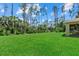 Lush green backyard with well-maintained lawn featuring various trees at 1983 Longstroth Ave, North Port, FL 34288