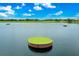 Aerial view of a green resting in a lake at 14846 Contenta Loop, Bradenton, FL 34211