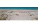 Beachfront view with sandy beach and vegetation at 8035 Manasota Key Rd, Englewood, FL 34223