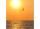 Stunning sunset over the ocean with a bird in flight at 745 Coral Way, Englewood, FL 34223