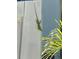 Green lizard on a white fence at 8934 Gulf St, Placida, FL 33946