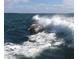 Dolphin playfully leaping from the ocean waves at 8934 Gulf St, Placida, FL 33946
