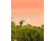 Peaceful sky view with a full moon and lush tropical foliage at 431 Kettle Harbor Dr, Placida, FL 33946