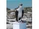 Osprey perched on a post with its catch at 431 Kettle Harbor Dr, Placida, FL 33946