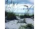 Scenic beach view with sea oats and calm ocean at 431 Kettle Harbor Dr, Placida, FL 33946