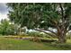 Landscaped backyard with mature trees, tiered gardens, and lush greenery at 110 S Oxford Dr, Englewood, FL 34223