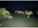 Landscaped backyard at night, showcasing palm trees with soft lighting along the canal at 9194 Impala Cir, Port Charlotte, FL 33981