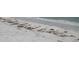 Seashells and seaweed along the shoreline at 15001 Appleton Blvd, Port Charlotte, FL 33981