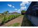 Landscaped backyard with lush greenery and privacy at 10401 Sunday Dr, Port Charlotte, FL 33981
