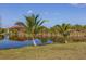 Tranquil waterfront view with palm trees and reflection of home at 14091 Peekskill Ave, Port Charlotte, FL 33981