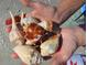 A handful of seashells from the beach at 51 Palm Dr, Placida, FL 33946
