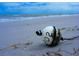 Buoy washed ashore on the beach at 3862 59Th W Ave, Bradenton, FL 34210