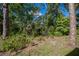 Wooded backyard with dense natural vegetation at 139 Jose Gaspar Dr # 139, Englewood, FL 34223