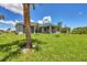 House backyard with grassy lawn and palm tree at 8111 Arlewood Cir, Port Charlotte, FL 33981