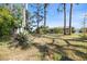 Large backyard surrounded by mature trees and natural landscaping at 6517 Kenwood Dr, North Port, FL 34287