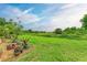 Landscaped backyard with various plants in pots at 14143 Saul Ln, Port Charlotte, FL 33981