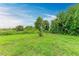 Large grassy backyard with lush vegetation at 14143 Saul Ln, Port Charlotte, FL 33981