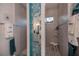 Spa-like bathroom with walk-in shower and unique decor at 10136 Amy Ter, Port Charlotte, FL 33981