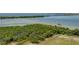 Waterfront lot with lush green vegetation perfect for building at 6000 Boca Grande Cswy # D46, Boca Grande, FL 33921
