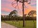Sunset view of the property with trees and fence at 2573 Chynn Ave, North Port, FL 34286