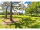 Landscaped community with pond and mature trees at 3 Quails Run Blvd # 8, Englewood, FL 34223