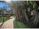 Brick pathway winding through lush landscaping with a large tree at 11000 Placida Rd # 2303, Placida, FL 33946