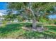 Mature tree in the front yard with a beautiful lawn and a view of the charming home at 797 Michigan Ave, Englewood, FL 34223
