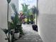 Landscaped outdoor space featuring a variety of potted plants and paver pathway between two exterior walls at 19060 Moscato Ct, Venice, FL 34293
