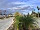 Entrance to a community with palm trees and a paved road at 19060 Moscato Ct, Venice, FL 34293