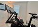Home gym with Peloton bike and NordicTrack treadmill at 19060 Moscato Ct, Venice, FL 34293